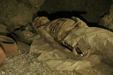 Los xaxos y el mirlado en Canarias Los xaxos y el mirlado en Canarias