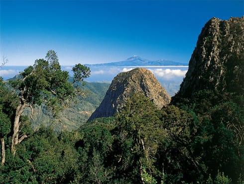 El Teide desde el Parque de Garajonay
