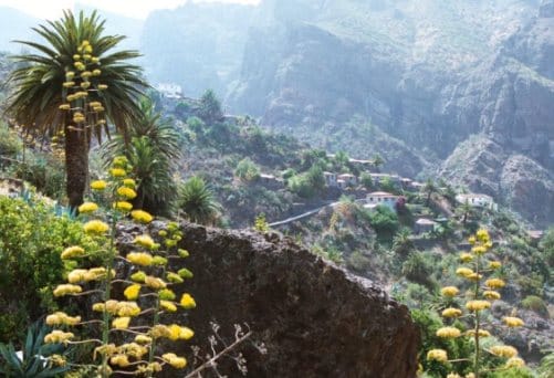 Canarias, isla llenas de color y vida