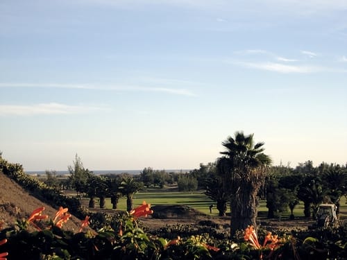 Campos de Golf en Gran Canaria