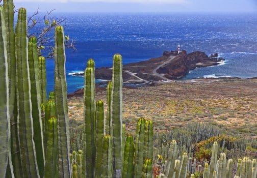 El Parque Rural de Teno, en Tenerife