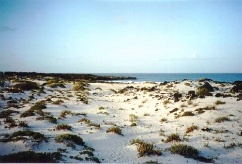 Los caletones, las playas blancas de Lanzarote Los caletones, las playas blancas de Lanzarote