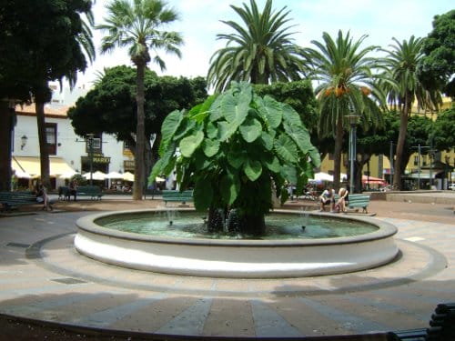 Plaza del Charco, Puerto de la Cruz