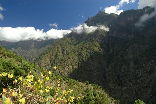 Recomendaciones para ecoturismo en Canarias