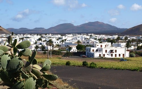 Uga, camellos y salmón ahumado